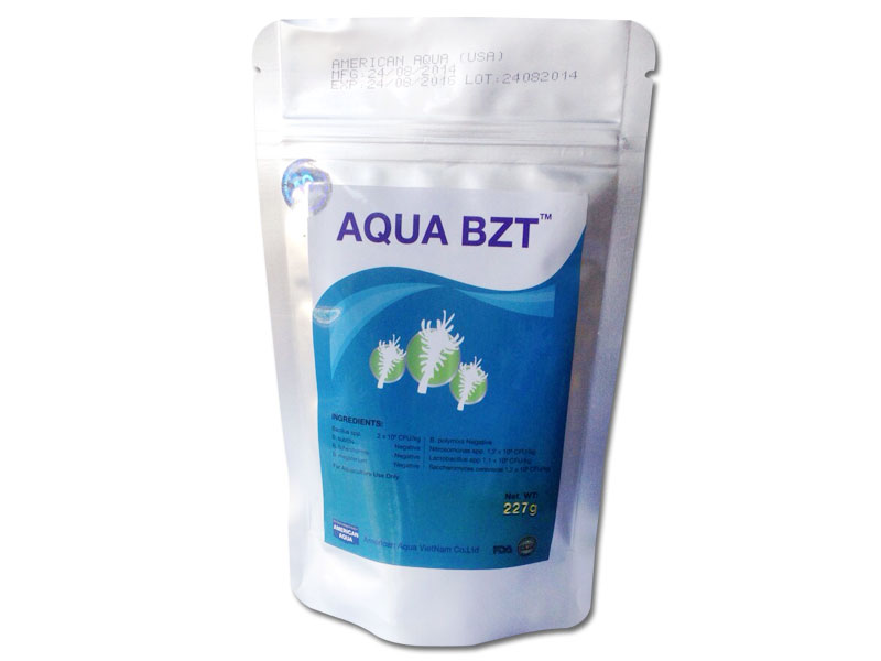 aqua-bzt