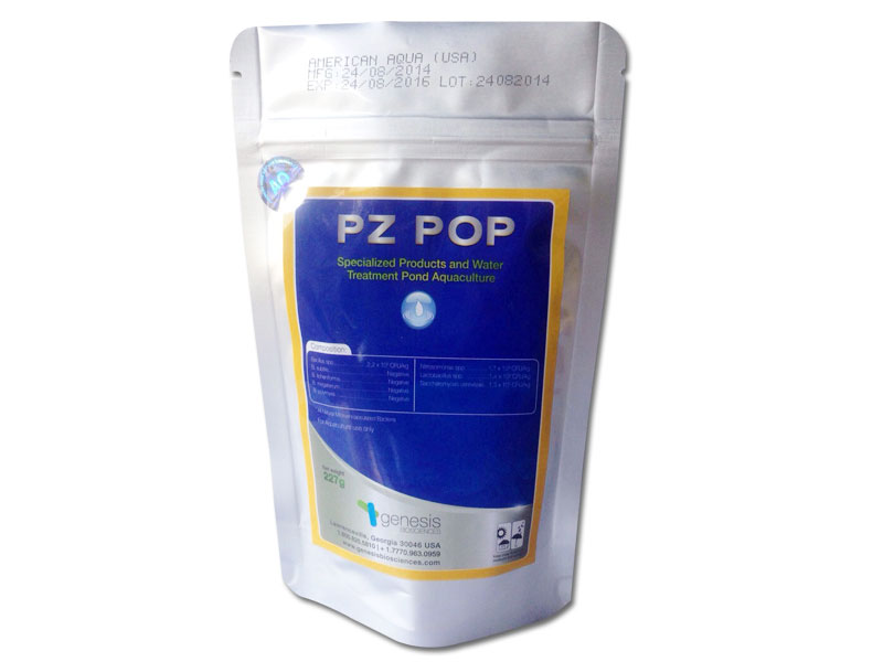 pz-pop